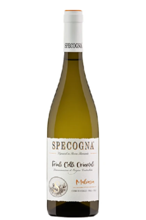 Malvasia 2023 - Specogna