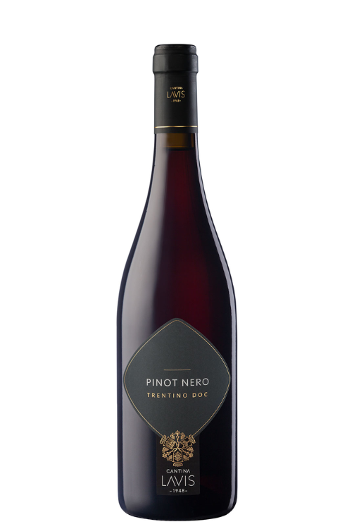 Pinot Nero DOC 2023 Lavis