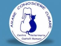 CLINICA VETERINARIA PRONTO SOCCORSO H 24