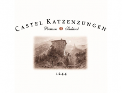 Castel katzenzungen - Location per spettacolo ed eventi - Tesimo - Tisens (Bolzano)