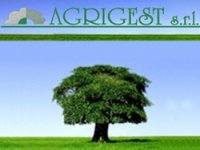 AGRIGEST S.R.L.