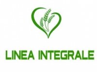 Linea Integrale