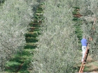 Azienda Agrituristica Costa Etrusca