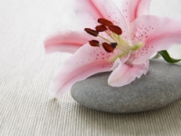 Equilibria Estetica e Benessere