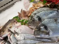 Ilio pesca prato alimentari produzione e ingrosso