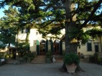 Albergo Ristorante Il Palchetto