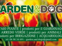 Garden & Dogs Società a Responsabilità Limitata Semplificata