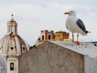 ASSOCIAZIONE CULTURALE D COMMUNICATION