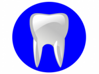 STUDIO DENTISTICO CALVI