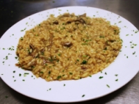 Trattoria Bar Lo Scoiattolo