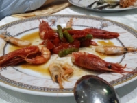 OASI DEL PESCE SRL