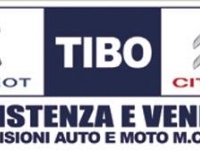 Bruno Tibo Srl: Centro assistenza Citroen