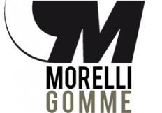 Morelli gomme - Legnano Morelli gomme - Pneumatici - commercio e riparazione - Legnano (Milano)