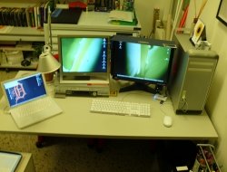 Silenzi franco - Frosinone Silenzi franco - Dottori commercialisti - studi - Frosinone (Frosinone)