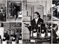 Cordara Vini Azienda Vitivinicola