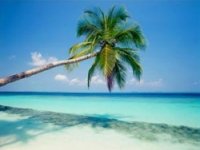 Agenzia Viaggi Chagos