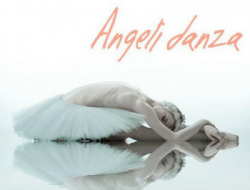 Associazione sportiva dilettantistica angeli danza - Scuole di ballo e danza classica e moderna - Susegana (Treviso)