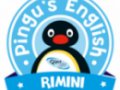 Opinioni degli utenti su Pingu's English Rimini