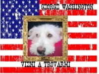 George Washington Torino