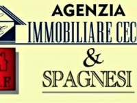IMMOBILIARE CECCHI & SPAGNESI