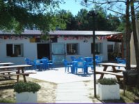 INTERNATIONAL CAMPING PINETA