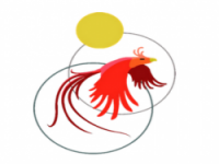 LA FENICE SOCIETÀ COOPERATIVA SOCIALE