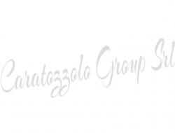 Caratozzolo group s.r.l. - Dottori commercialisti - studi,Elaborazione dati - servizio conto terzi - Gardone Val Trompia (Brescia)