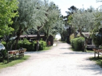 Camping Reno