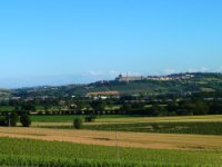 ASSOCIAZIONE LAICALE EUCARISTICA RIPARATRICE DELLA PROVINCIA PICENA DEI FRATI MINORI
