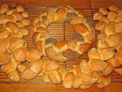 Massarella marco - Fondi Massarella marco - Alimentari - prodotti e specialità - Fondi (Latina)