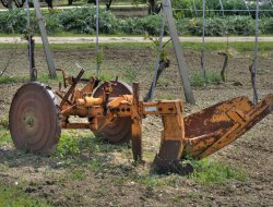 Roggi - s.r.l. - Macchine agricole - commercio e riparazione - Cinigiano (Grosseto)