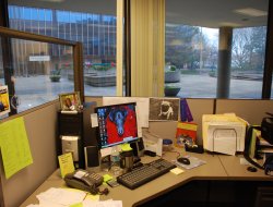 Quiservice - Cassino Quiservice - Spedizioni - Cassino (Frosinone)