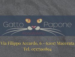 Gatto papone food&wine - Ristoranti - Macerata (Macerata)