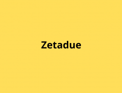 Studio associato zetadue - Periti danni e infortunistica stradale - Campolongo sul Brenta (Vicenza)