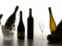 Azienda Vitivinicola Vanzini