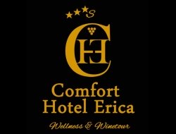 Comfort hotel erica - centro congressi ristorante - Alberghi - Salorno - Salurn (Bolzano)