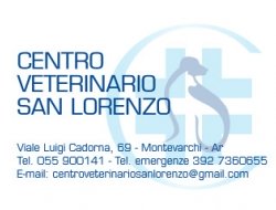 Centro veterinario san lorenzo - Veterinari - Montevarchi (Arezzo)