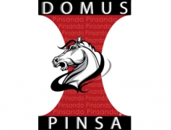 Domus pinsa - Pizzerie - Roma (Roma)
