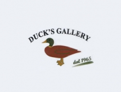Duck's gallery - Antiquari - Siena (Siena)