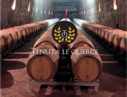 Tenuta le querce - Alimenti regionali e tipici,Cantine sociali ,Enologia macchine e prodotti produzione e ingrosso,Enoteche e vendita vini,Vini e spumanti - produzione e ingrosso - Barile (Potenza)