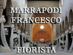 Francesco marrapodi fiorista - Abiti da sposa e cerimonia,Bomboniere ed accessori,Fiori e piante artificiali,Vivai piante e fiori,Addobbi e articoli per feste vendita - Roccella Ionica (Reggio Calabria)