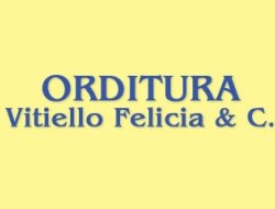 Orditura vitiello felicia & c. - Abbigliamento - produzione e ingrosso,Cotone filati e tessuti - produzione e ingrosso,Filati - produzione e ingrosso,Lana tessuti,Lino filati e tessuti - produzione e ingrosso,Monofili sintetici - Prato (Prato)