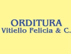 Orditura vitiello felicia & c. - Abbigliamento - produzione e ingrosso,Cotone filati e tessuti - produzione e ingrosso,Filati - produzione e ingrosso,Lana tessuti,Lino filati e tessuti - produzione e ingrosso,Monofili sintetici - Prato (Prato)