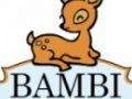 Opinioni degli utenti su Trattoria Bambi