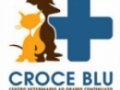 Opinioni degli utenti su Centro Veterinario Croce Blu Studio clinica e ambulatorio veterinario