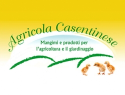 Agricola casentinese bassi srl agricoltura e giardinaggio - Agricoltura - attrezzi, prodotti e forniture ,Bricolage e fai da te,Concimi e fertilizzanti,Giardinaggio e agricoltura - macchine, attrezzi e prodotti ,Mangimi, foraggi ed integratori zootecnici,Vivai piante e fiori - Castel San Niccolò (Arezzo)