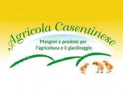 Agricola casentinese bassi srl agricoltura e giardinaggio - Agricoltura - attrezzi, prodotti e forniture ,Bricolage e fai da te,Concimi e fertilizzanti,Giardinaggio e agricoltura - macchine, attrezzi e prodotti ,Mangimi, foraggi ed integratori zootecnici,Vivai piante e fiori - Castel San Niccolò (Arezzo)