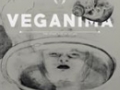 Opinioni degli utenti su Ristorante Caffetteria Biologico Vegano