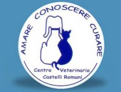 Centro veterinario castelli romani - Veterinari - Rocca di Papa (Roma)