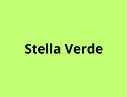 Stella verde - Ceramiche e refrattari - impianti, macchine e materiali - Como (Como)